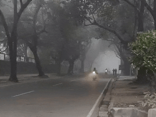 पंजाब-चंडीगढ में शीतलहर और घने कोहरे का यलो अलर्ट:  कुछ जगहों पर बारिश का अनुमान, अधिकतम तापमान सामान्य से नीचे, अमृतसर सबसे ठंडा – Mohali News