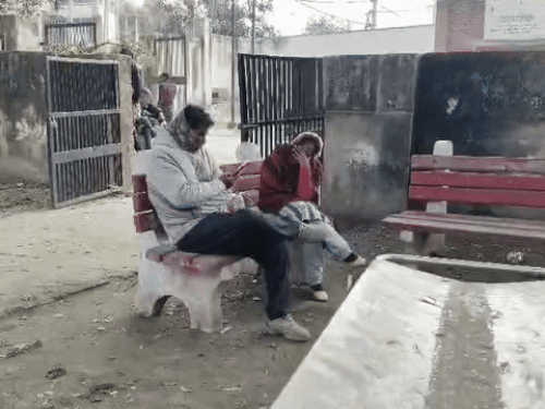 सोनीपत में सड़क एक्सीडेंट में युवक की मौत:  अज्ञात वाहन ने कुचला; दो दिन से लापता था, पति के बाद मां का इकलौता सहारा भी छिना – Sonipat News