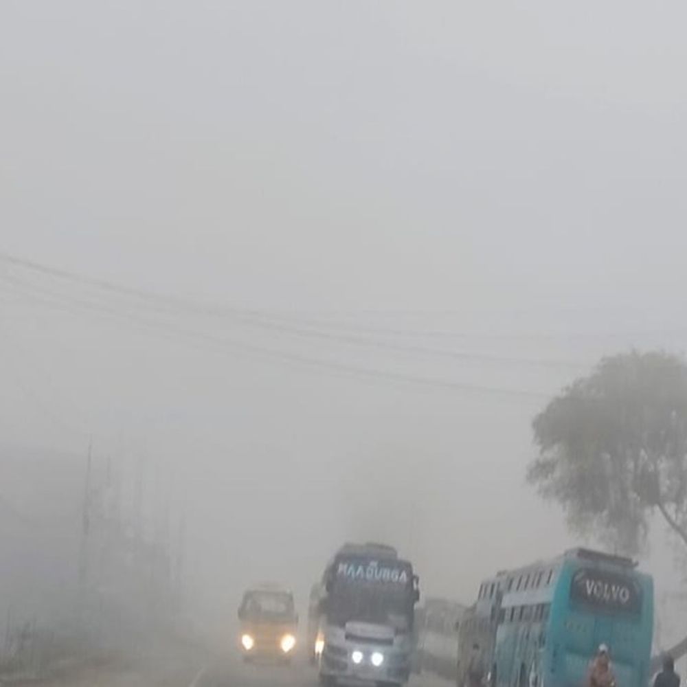 सरगुजा में घना कोहरा, वाहनों की रफ्तार पर ब्रेक:  पश्चिमी विक्षोभ के कारण छाए बादल, दो दिन न्यूनतम तापमान में गिरावट का पूर्वानुमान – Ambikapur (Surguja) News