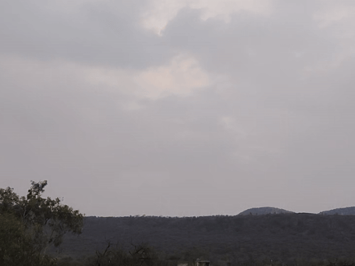 सवाई माधोपुर में न्यूनतम तापमान सिंगल डिजिट में पहुंचा:  ठंडी हवाओं ने बढ़ाई सर्दी, 2 फरवरी तक तेज सर्दी पड़ने की संभावना – Sawai Madhopur News