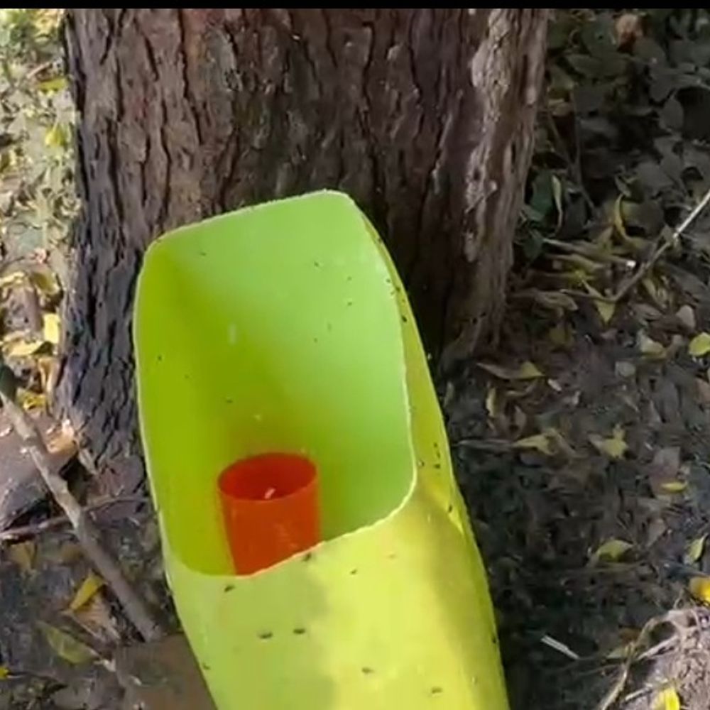 पेड़ से दूध निकलने को चमत्कार मान रहे ग्रामीण:बक्सर में नीम के पेड़ से लगातार निकल रहा तरल प्रदार्थ, प्रसाद के रूप में सेवन कर रहे लोग