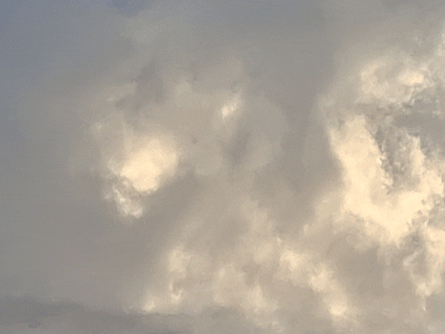 छत्तीसगढ़ में कोहरे का अलर्ट, रायपुर-पेंड्रा-मैनपाट में धुंध:न्यूनतम तापमान में 3 डिग्री तक आ सकती है गिरावट, जगदलपुर सबसे गर्म, अंबिकापुर में 11.9°C तापमान