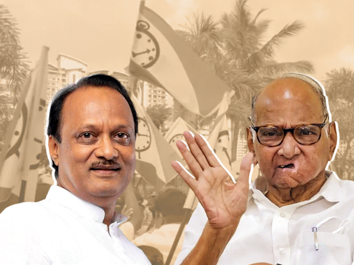 अजित-शरद की NCP का एक होना तय, BJP भी राजी:शरद गुट के 8 सांसद मोदी सरकार को समर्थन देंगे, पार्टी संभालने पर खींचतान