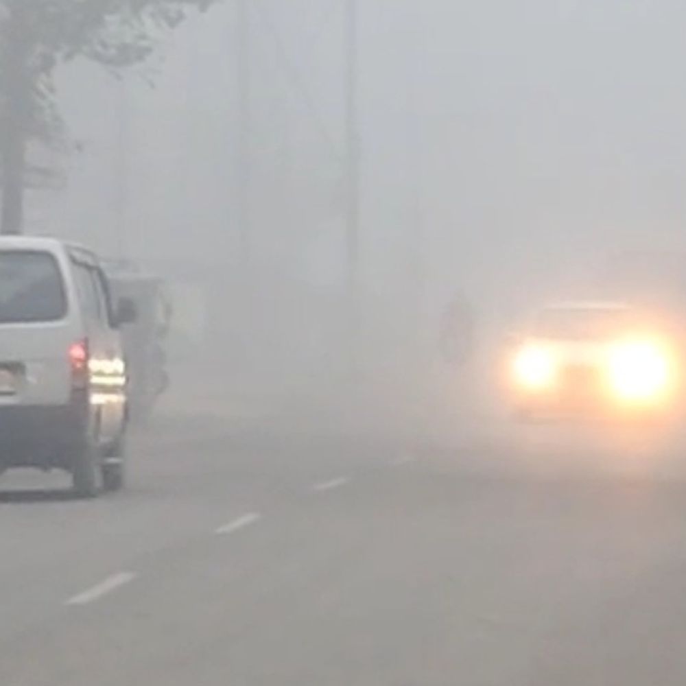 बदायूं में घना कोहरा छाया, न्यूनतम तापमान 8 डिग्री:लो विजिबिलिटी से थमी वाहनों की रफ्तार, सर्द हवाओं से जनजीवन प्रभावित