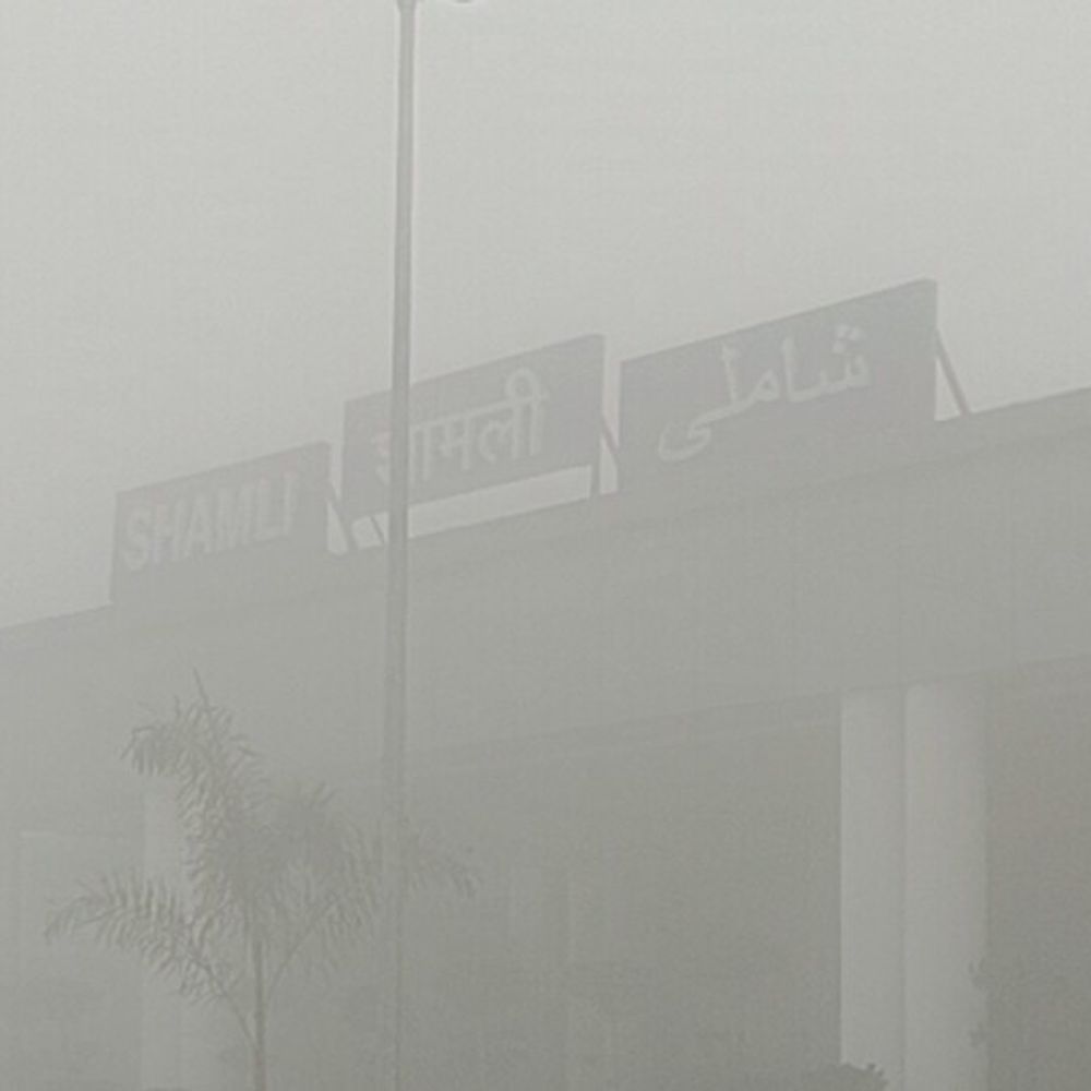 शामली में घना कोहरा छाया, न्यूनतम तापमान 5 डिग्री:जनजीवन प्रभावित, अगले तीन दिन ऐसा ही मौसम रहने का अनुमान