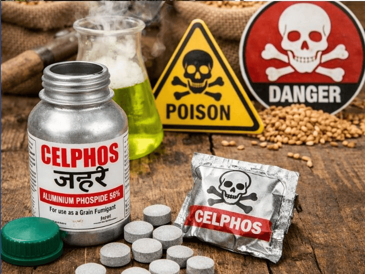 चंडीगढ़ PGI ने खोजा सल्फास जहर का इलाज:  इंटरनल मेडिसिन विभाग का शोध, मरीजों में मौत का खतरा कम होगा – Chandigarh News