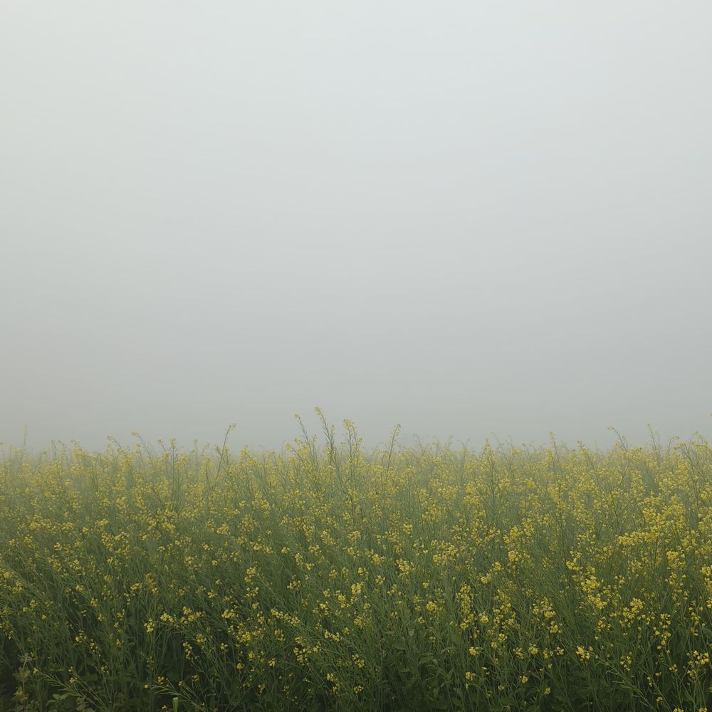 मऊ में फिर बदला मौसम, सुबह घना कोहरा छाया:विजिबिलिटी कम होने से सड़कों पर वाहनों की रफ्तार धीमी हुई