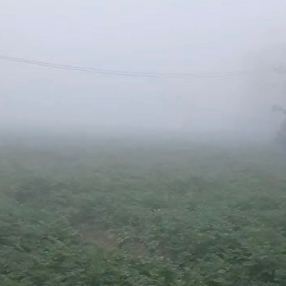 संभल में मध्यरात्रि से बारिश, न्यूनतम 8 डिग्री, AQI 161:  बर्फीली हवा के बीच 10 दिन में तीसरी बार हुई 1 एमएम बारिश – Sambhal News