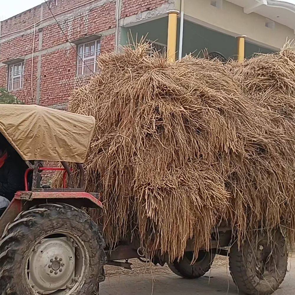 कैमूर में 1.30 लाख मीट्रिक टन धान की खरीद:28 फरवरी तक 2.34 लाख मीट्रिक टन लक्ष्य पूरा करने का प्रयास, 151 क्रय समितियों का चयन