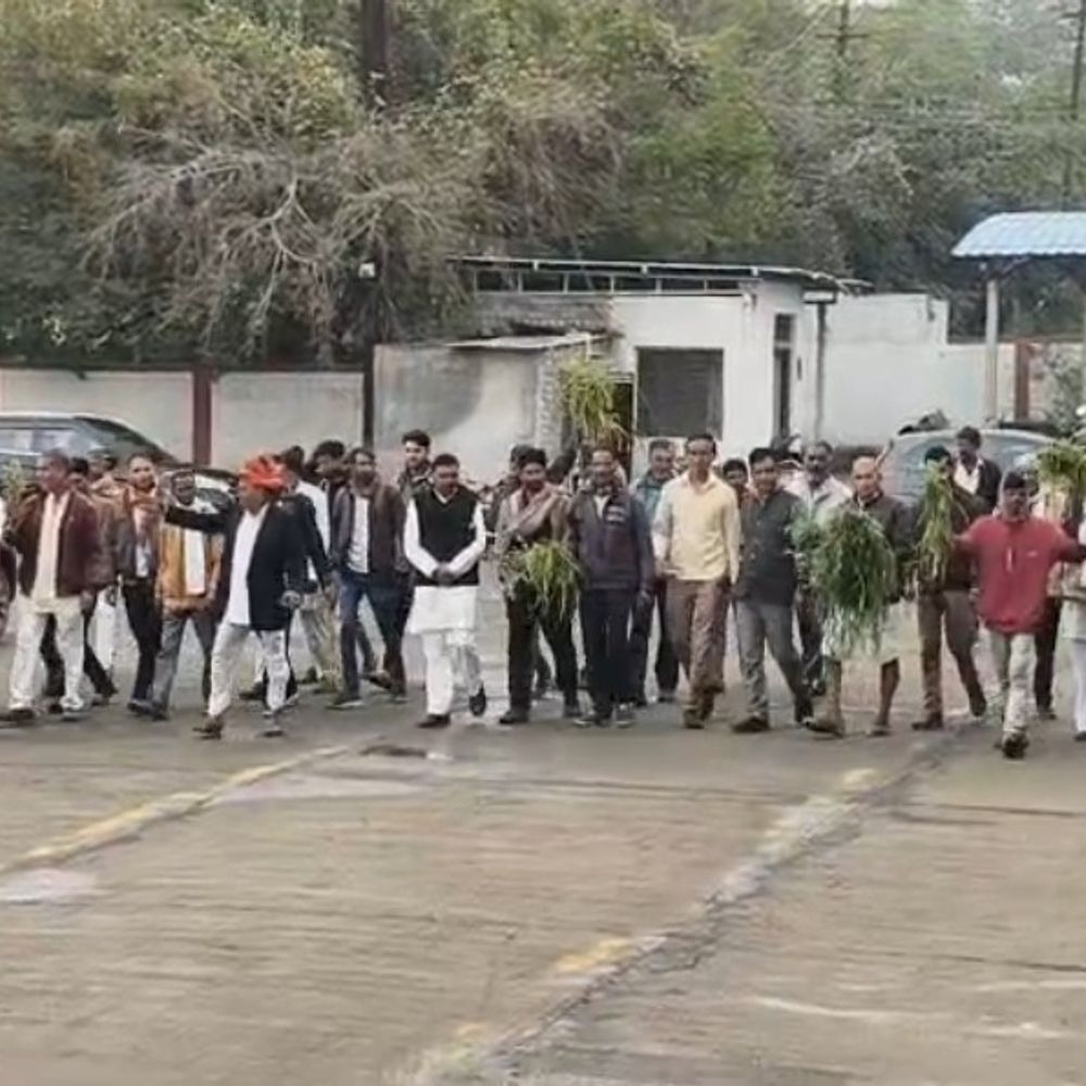 आगर में ओलावृष्टि-बारिश से फसलें बर्बाद:  किसानों ने मुआवजे और बीमा क्लेम के लिए ज्ञापन सौंपा, कहा- सर्वे कराया जाए – Agar Malwa News