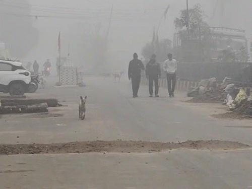 भोपाल समेत कई जिलों में आंधी-बारिश, 20 में अलर्ट:कल से कोहरे का असर ज्यादा; नए सिस्टम से फिर गिरेगा मावठा