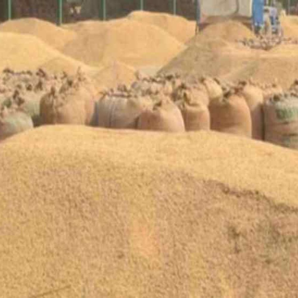 छत्तीसगढ़ में धान खरीदी की तारीख 2 दिन बढ़ी:  किसान 5-6 फरवरी को बेच सकेंगे धान, भूपेश बघेल ने सीएम साय का जताया आभार – Chhattisgarh News