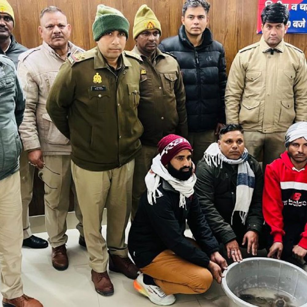 मेरठ में प्रतिबंधित कछुओं के साथ तीन तस्कर गिरफ्तार:  एक इंडियन स्पॉटेड कछुए के अलावा 23 इंडियन टेन कछुए बरामद,वन विभाग को सौंपे – Meerut News