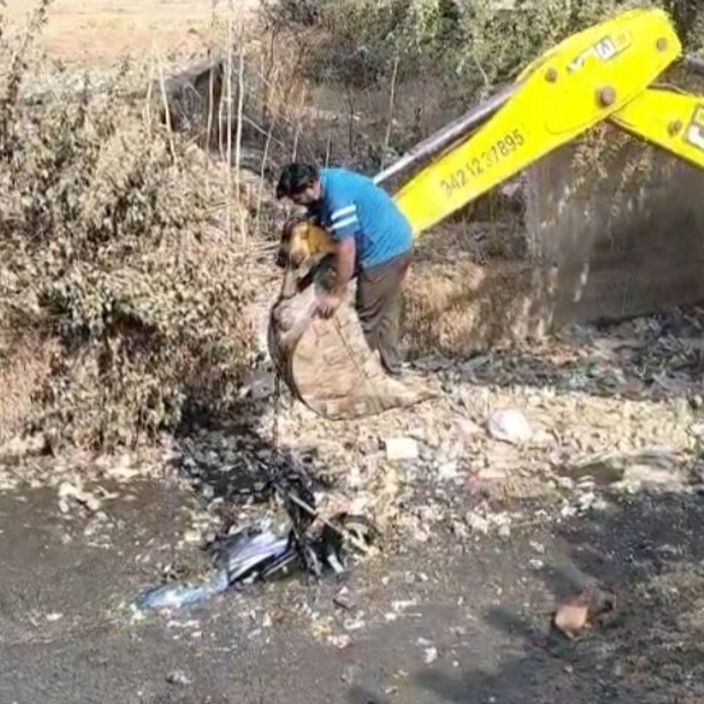 410c1f9d 4d26 4967 b8c4 1cdd42d60856 1770216417645