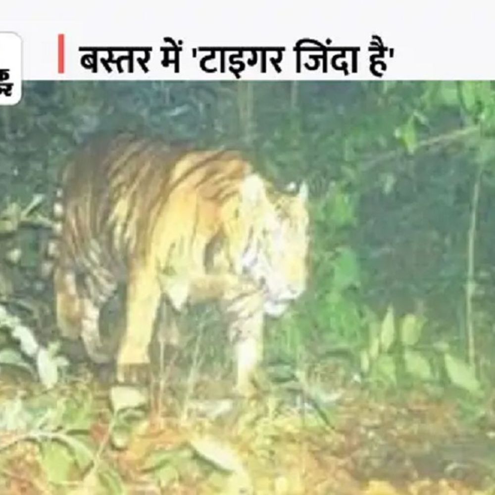 1004036296 1770287871