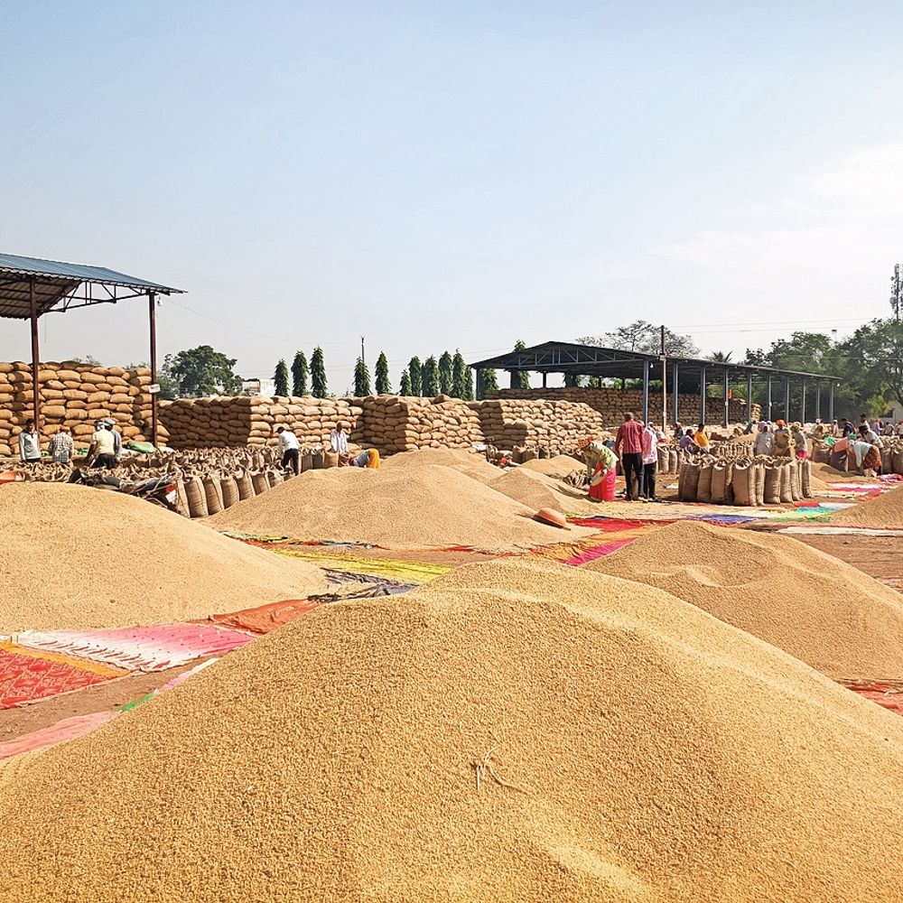 206 177020068269831e6a9ab50 4balod11