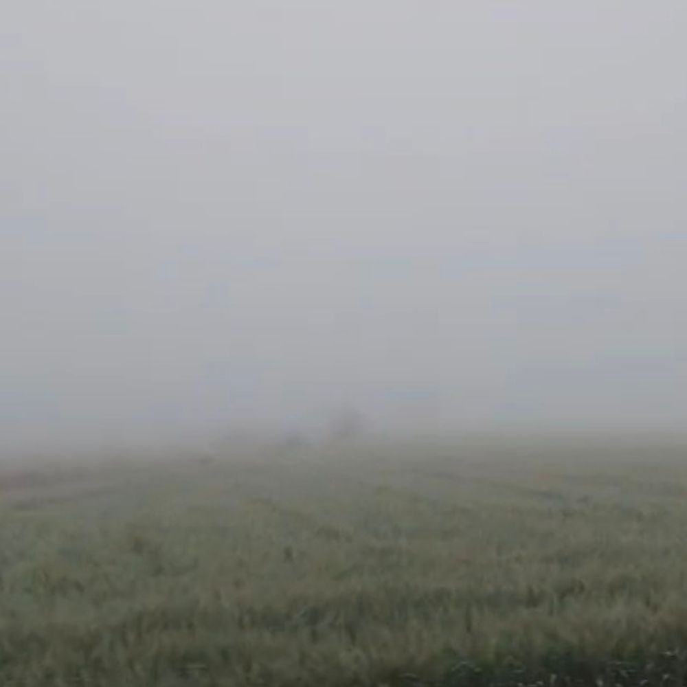 धार में पारा लुढ़का, ठंड बढ़ी:चार दिनों से मौसम में लगातार हो रहा बदलाव, नमी का फसलों पर दिखा असर