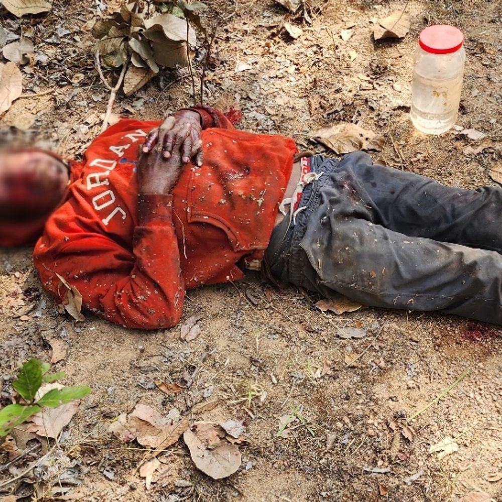 4a09a2a2 c07d 41df a518 0c166a83430e1770291002083 1770296375