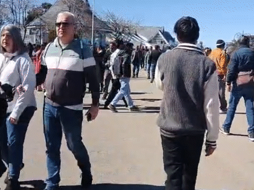 हिमाचल के मैदानी इलाकों में कोहरे का अलर्ट:  ठंड बढ़ेगी, 14 शहरों में तापमान 5॰C से नीचे गिरा, 10-11 फरवरी को फिर बारिश-बर्फबारी – Shimla News