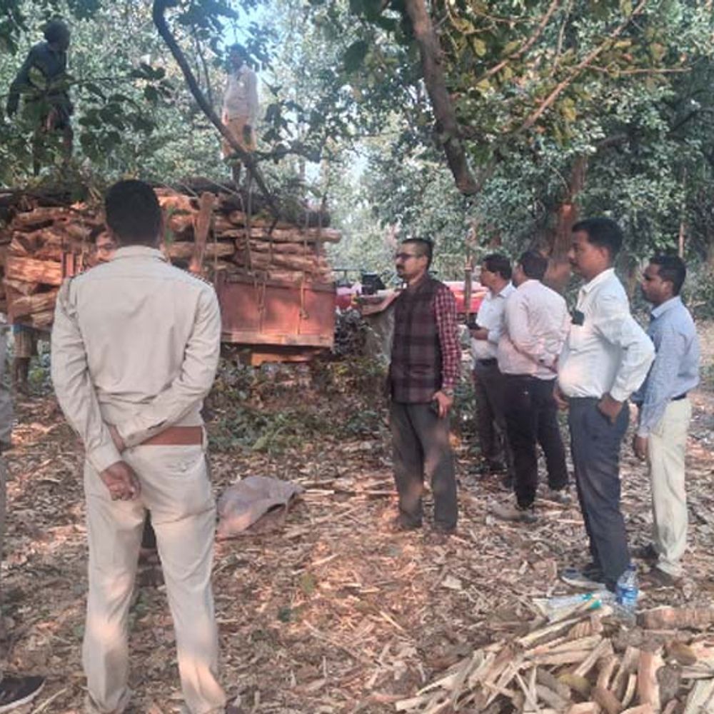 lakdi khair 1770284964