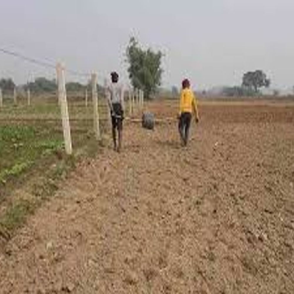 नया आदेश:राजनांदगांव, बलौदाबाजार, गरियाबंद और धमतरी में जमीन की कीमत घटी