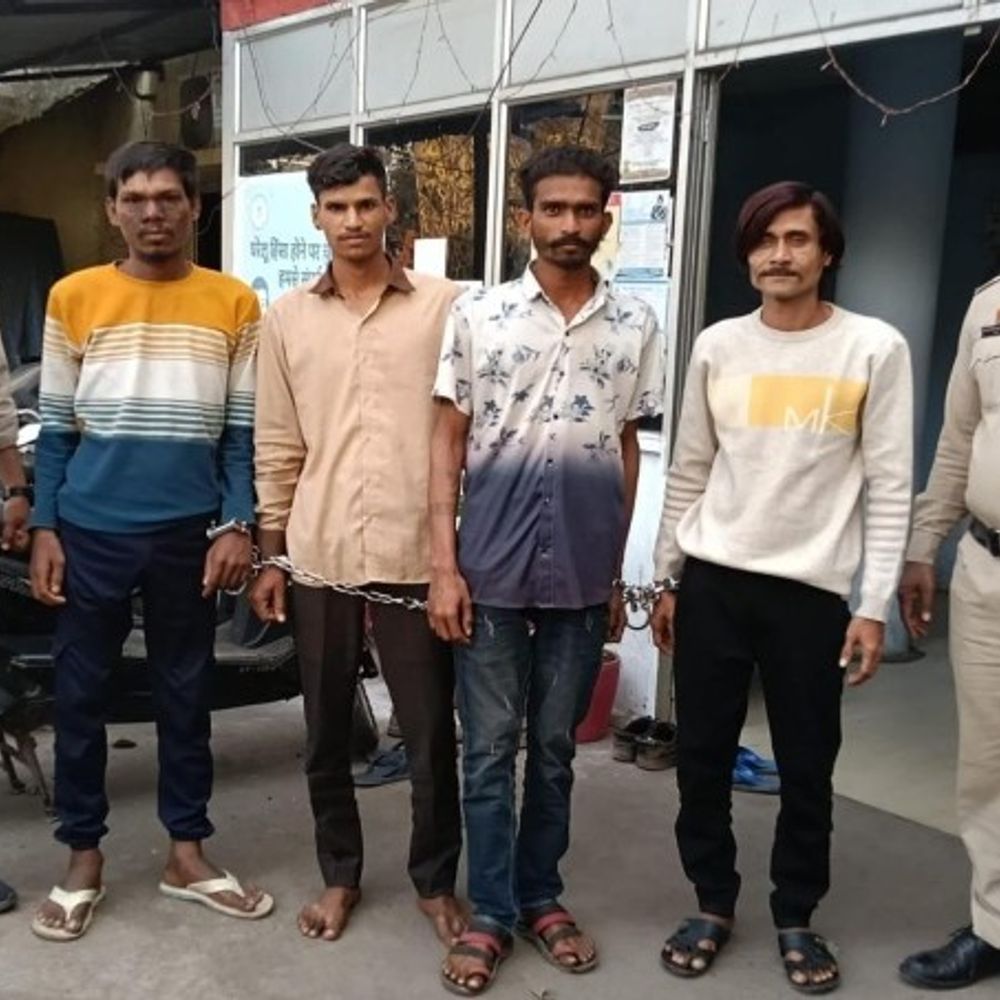 whatsapp image 2026 02 05 at 40059 pm 1 1770294136