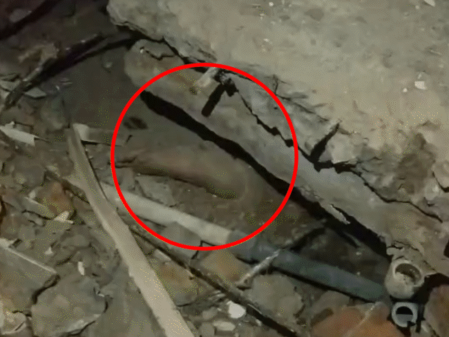 कोटा में 3 मंजिला बिल्डिंग गिरी, 1 मौत, कई दबे:  रेस्टोरेंट में ग्राहक और कर्मचारी थे; लोग बोले- धमाका हुआ और इमारत ढह गई – Kota News