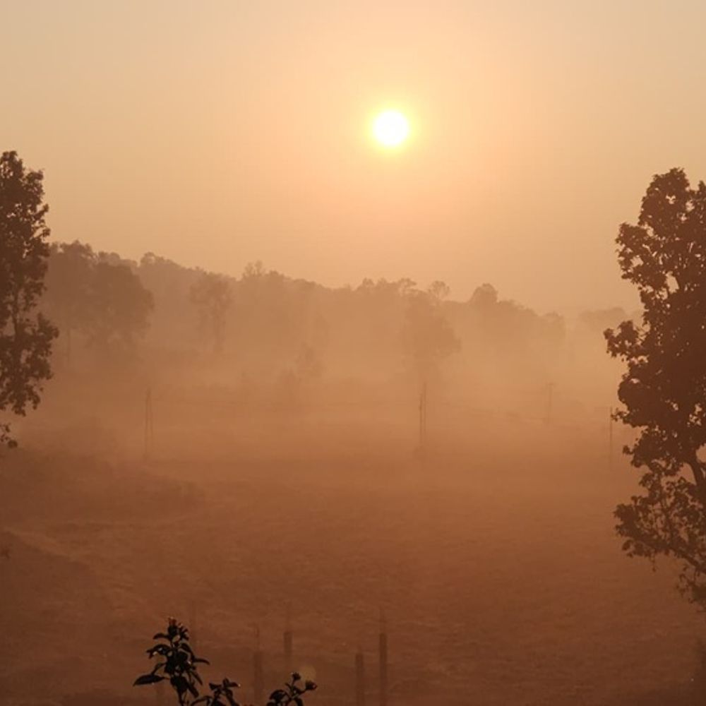 उत्तर छत्तीसगढ़ में शीतलहर…न्यूनतम तापमान 5 डिग्री:  पश्चिमी विक्षोभ का असर कम होने से लौटी कड़ाके की ठंड, जारी रहेगा उतार-चढ़ाव – Ambikapur (Surguja) News