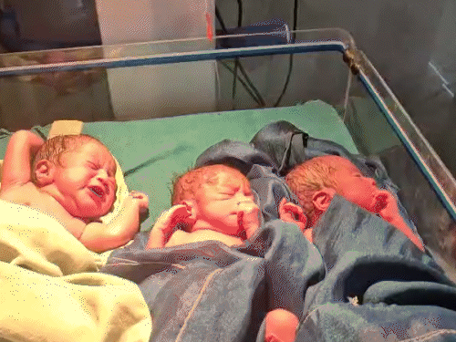 बलरामपुर में महिला ने 3 बच्चों को दिया जन्म:  इनमें 2 बेटे और 1 बेटी, मां और दो-बच्चे स्वस्थ, तीसरे का वजन कम इसलिए रेफर – Balrampur (Ramanujganj) News