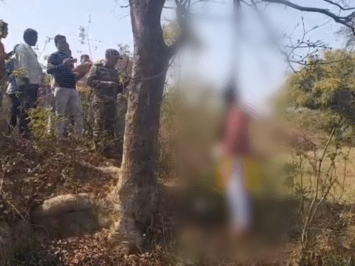 खेत में पेड़ से लटका मिला विवाहित महिला का शव:  धनबाद के जोड़ापीपल के पास की घटना, बैग और मोबाइल बरामद, डायरी में मिले कई नंबर – Dhanbad News