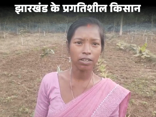 मिश्रित खेती व जैविक मॉडल से बढ़ी आय‎:  हजारीबाग की किसान संगीता देवी ने लिखी सफलता की कहानी, हरहद गांव के किसानों की बदली सोच – Hazaribagh News