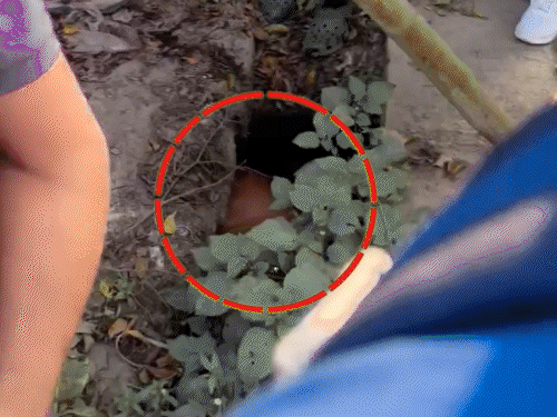 प्रेमिका ने आईफोन नाले में फेंका, प्रेमी ने निकाला:कटिहार में वेलेंटाइन वीक के बीच प्रेमी जोड़े में हुई बहस