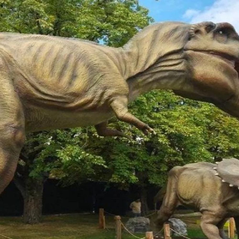 राजगीर में बनेगा बिहार का पहला डायनासोर पार्क:पर्यटकों का स्वागत एक जुरासिक गेट से होगा, हड्डियों के ढांचे वाली सुरंग भी होगी