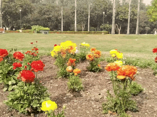 पंजाब-चंडीगढ़ में अब ठंड और कम होगी:  48 घंटे में तापमान तीन डिग्री तक बढ़ेगा, 15 फरवरी तक मौसम ड्राई रहेगा, बठिंडा सबसे ठंडा – Mohali News