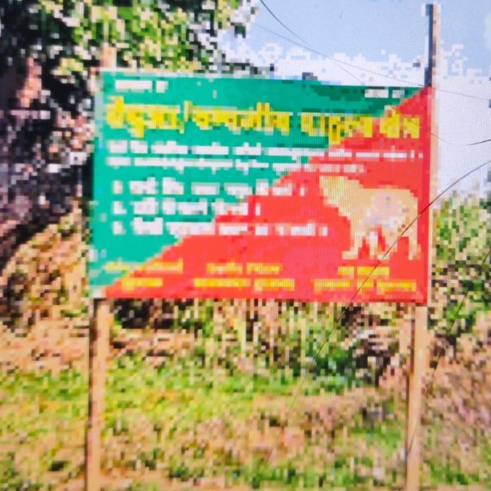 कांवड़ मार्ग पर तेंदुए की दहशत:चेतावनी बोर्ड पर वन विभाग का हेल्पलाइन नंबर नहीं