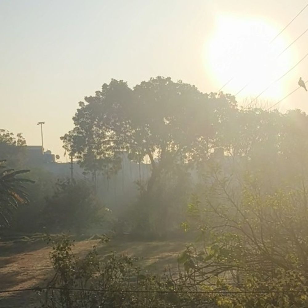 मथुरा में तापमान बढ़ा, सर्दी का असर कम:धूप से मौसम सुहावना हुआ, न्यूनतम पारा 13 डिग्री पहुंचा