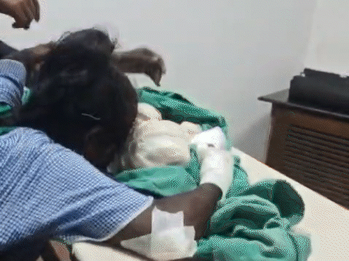 रायगढ़ कार्बन प्लांट हादसा…मासूम बच्ची समेत 3 मौतें:  पिता और एक युवक ने तोड़ा दम, 3 महीने पहले भी एक बेटी की गई थी जान – Chhattisgarh News