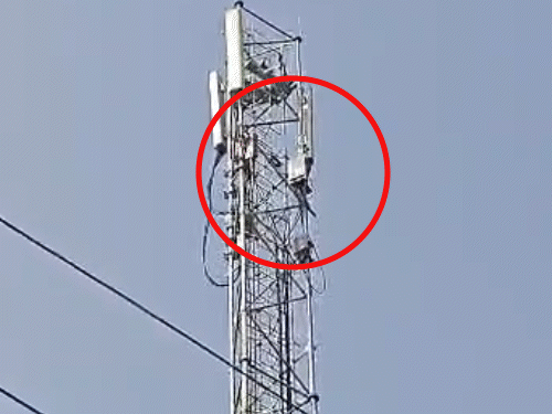 100 फीट ऊंचे टावर से गिरकर युवक की मौत, VIDEO:कन्नौज में बोला- मेरी शादी करा दो, नहीं तो कूद जाऊंगा; प्रेमिका से करना चाहता था शादी