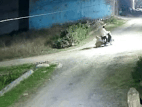 जालंधर में पंजाबी सूफी गायिका ज्योति नूरां के पास फायरिंग:  स्कूटी सवार अज्ञात हमलावर ने की चलाई गोली, इलाके में दहशत, पुलिस जांच में जुटी – Jalandhar News