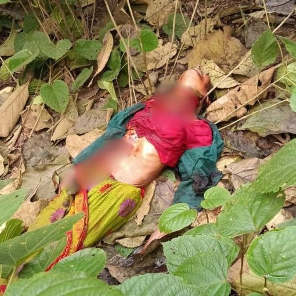 पीलीभीत में महिला को बाघ ने मार डाला:घर से 200 मीटर दूर घने जंगल में मिला क्षत-विक्षत शव, पेट और गले का मांस गायब