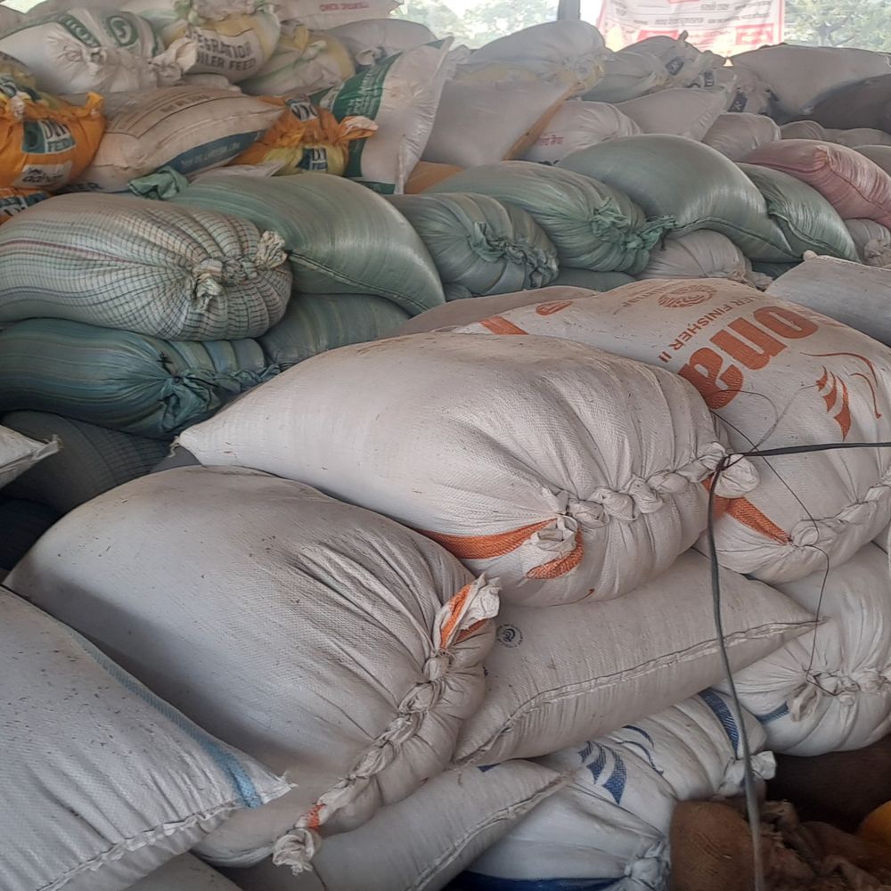 बलरामपुर में 48 केंद्रों पर गेहूं खरीद होगी:चार एजेंसियों को जिम्मेदारी, पिछले साल से 7 केंद्र कम