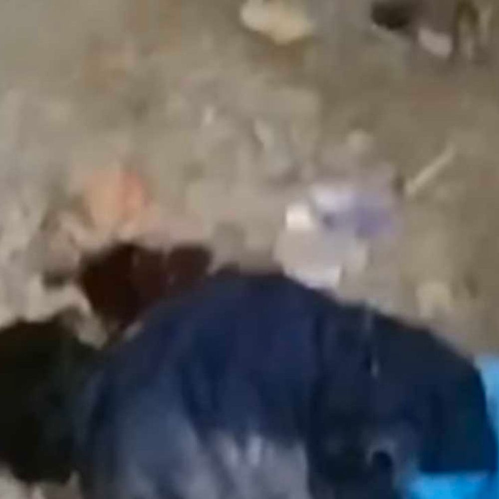 सिद्धार्थनगर में सड़क हादसा में युवक की मौत:तेज रफ्तार वाहन ने मारी टक्कर, चालक मौके से फरार