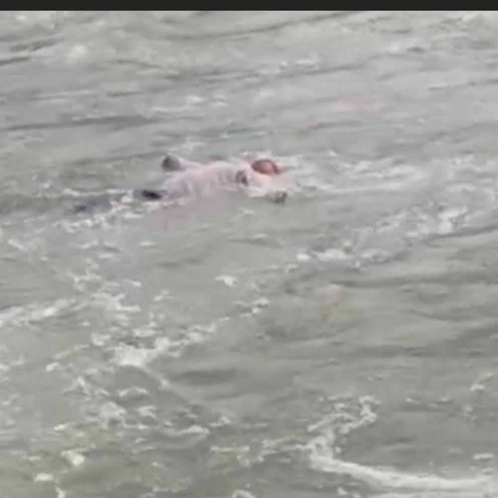 झांसी के लापता AC मिस्त्री का शव नहर में मिला:जालौन में बरामद, 8 फरवरी से था लापता