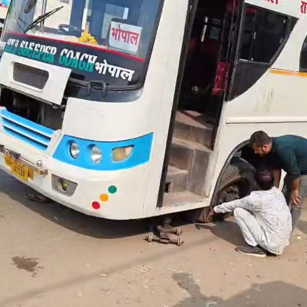 80 की रफ्तार... बस का टायर फटा ड्राइवर की समझदारी से टला हादसा