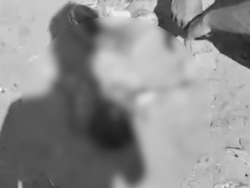 मोहाली में JCB ने बच्चे को कुचला, मौत:  घर के बाहर खेल रहा था, आरोपी ड्राइवर फरार, मृतक मासूम बिहार का रहने वाला – Chandigarh News