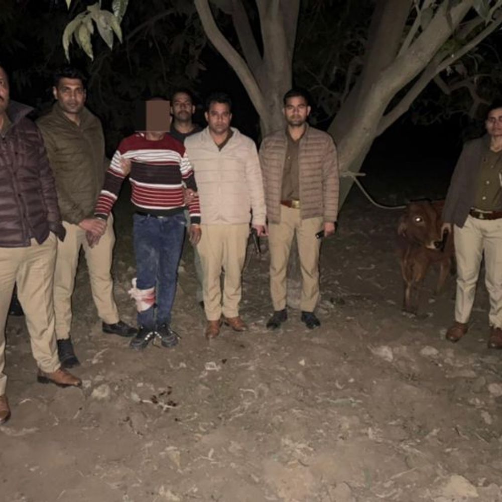 सहारनपुर पुलिस ने गोतस्कर के पैर में मारी गोली:पुलिस को काउंटर में करनी पड़ी फायरिंग, यूपी और हरियाणा में गोकशी के मुकदमे दर्ज, कोर्ट से वारंट था जारी