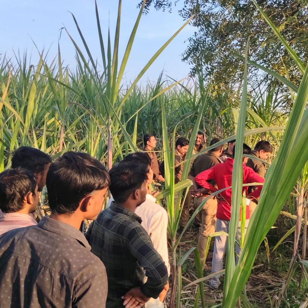 नीम के पेड़ से लटका मिला नाबालिग का शव:मोबाइल चोरी के आरोप के बाद गेस्ट हाउस मालिक ने पीटा था