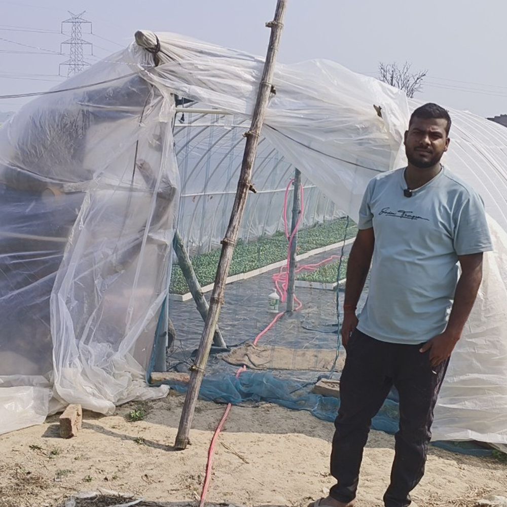 मऊ के युवा किसान ने देसी पॉलीहाउस बनाया:कम लागत में पौधे तैयार कर कमा रहे लाखों का मुनाफा