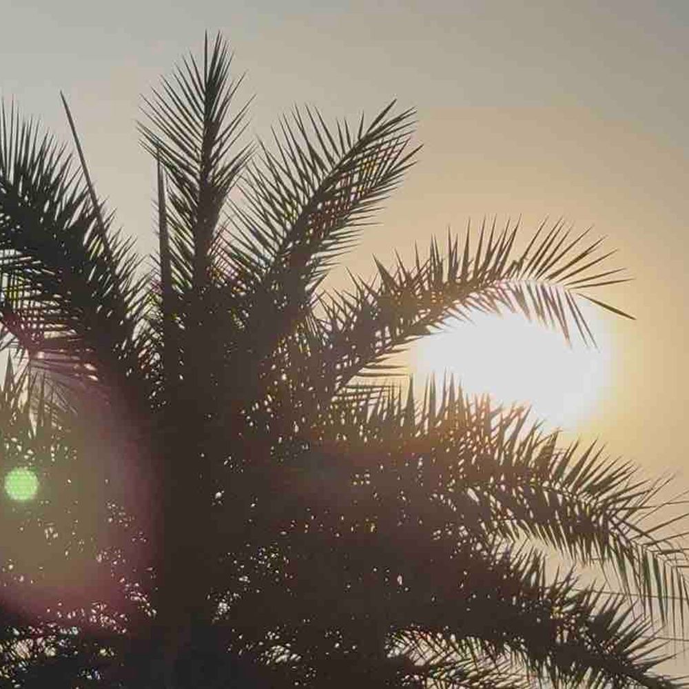 गोरखपुर में टेम्प्रेचर 10°C:20 फरवरी तक मौसम रहेगा साफ, 1 मार्च से खत्म हो जाएगी ठंड