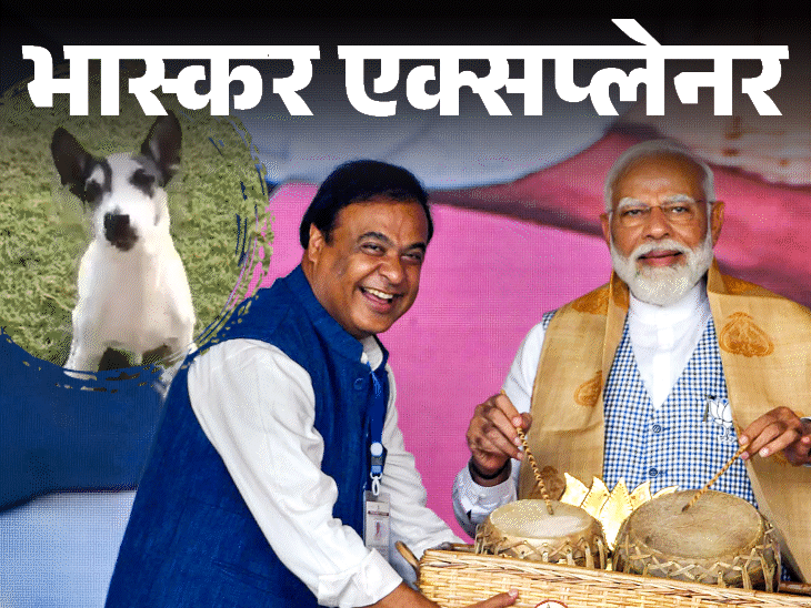 जब बागी हिमंता मिलने पहुंचे, राहुल कुत्ते से खेलते रहे:आज नॉर्थ-ईस्ट के 6 राज्यों में बीजेपी सरकार; कांग्रेस कैसे उखड़ गई